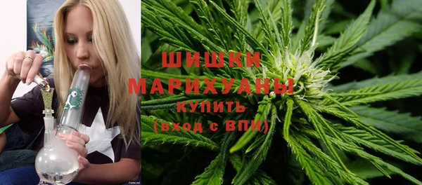 ПСИЛОЦИБИНОВЫЕ ГРИБЫ Алексеевка