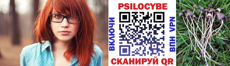 Псилоцибиновые грибы мухоморы  блэк спрут ссылка  Иннополис 